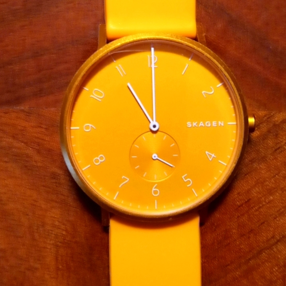 SKAGEN watch